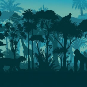 Silhouettes of animals and plants in jungle