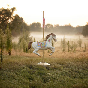 Single carousel horse in a field