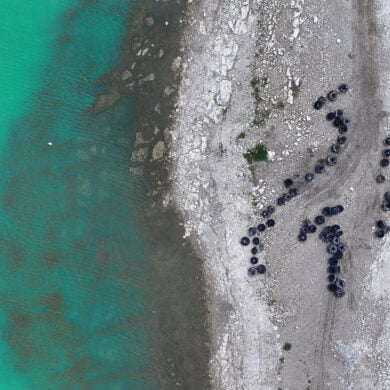 Discarded monster truck tires