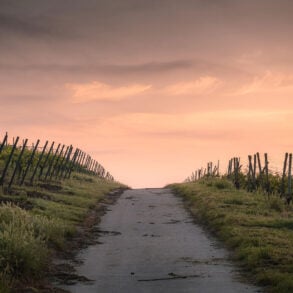 Fences and path with foreboding sunset