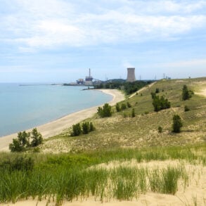 The natural landscape of Indiana Dunes National Park with the NIPSCO Michigan City Generating Station in the background.