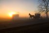 Amish buggy silhouette at sunrise