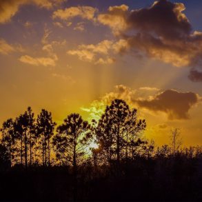 Everglades sunset