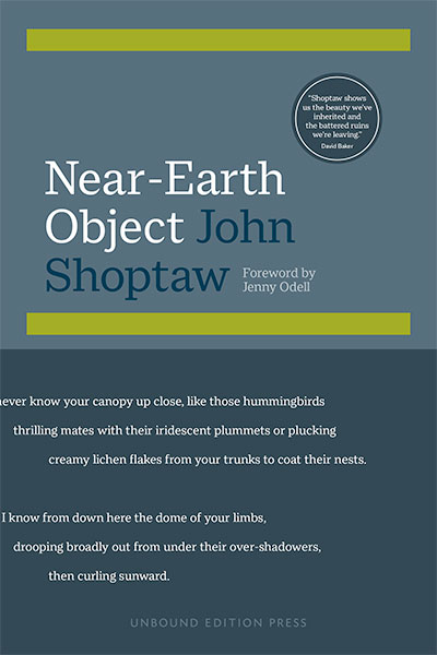 Near-Earth Object: Poems by John Shoptaw