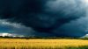 Storm clouds over bright field