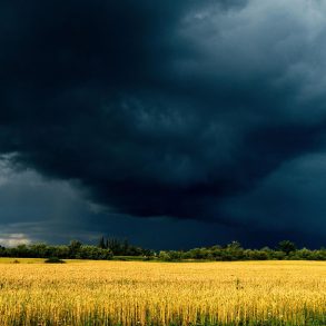 Storm clouds over bright field
