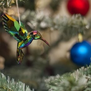 Hummingbird ornament in Christmas tree