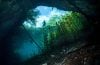 Divers in cenote