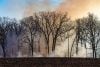 Trees with smoking ground following prescribed burn